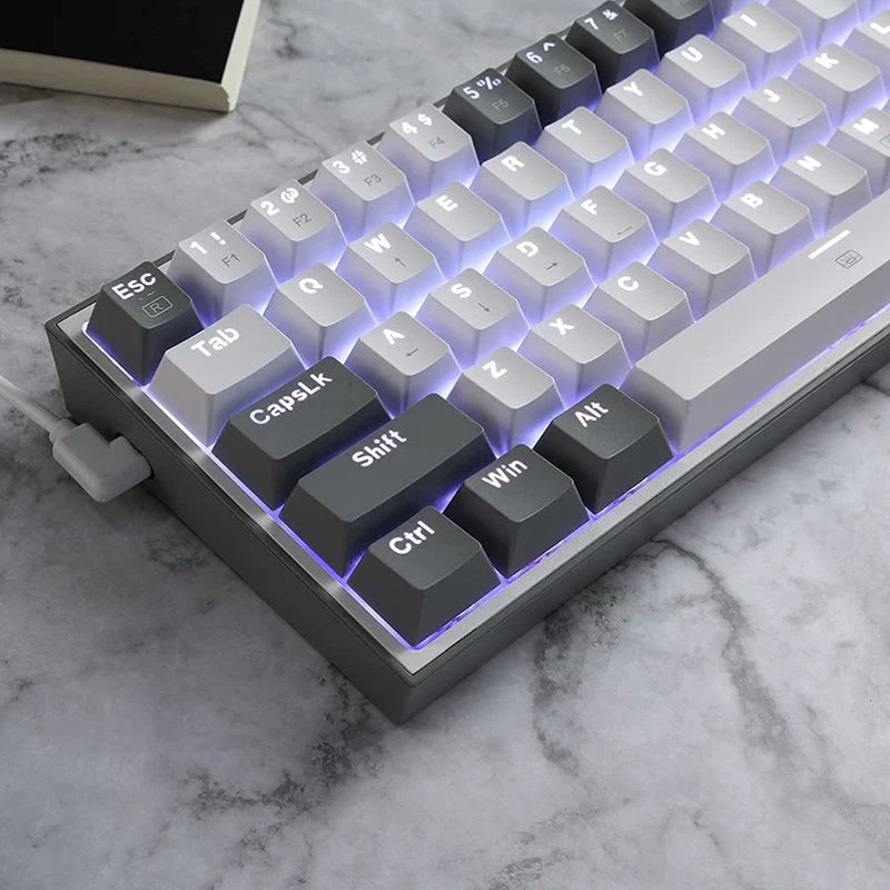 Fizz K617 - 60% Wired Mechanical Keyboard White and Grey (Red Switches)