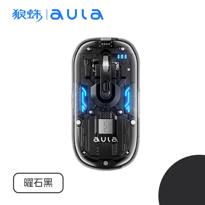 Aula AM210 Wireless 2.4G BT Gaming Mouse | 800 to 1600 DPI | Black (AM210B)