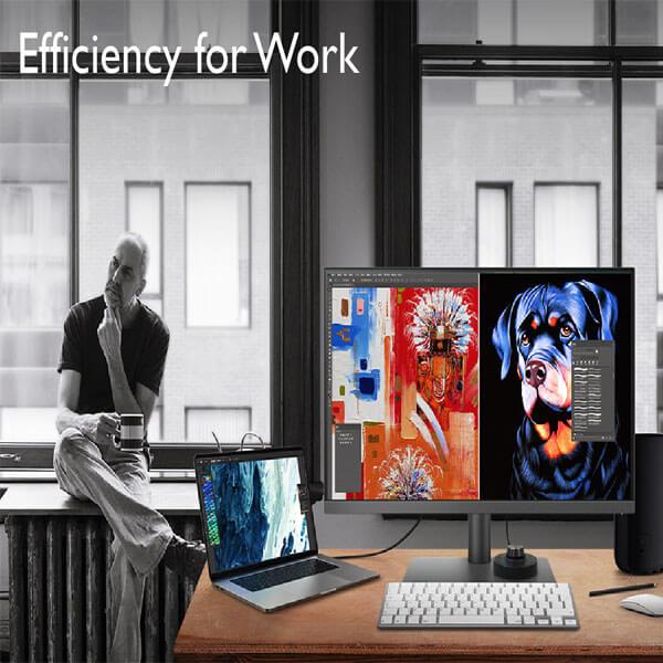 BenQ PD2506Q 25 Inch Designer Monitor