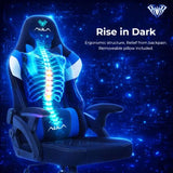 AULA F016 Ergonomic Premium Gaming & Computer Chair | Adjustable Nylon Armrests With Soft Pad | Locking-Tilt Function, Gas Lift Function | Black+Blue (F016BU)
