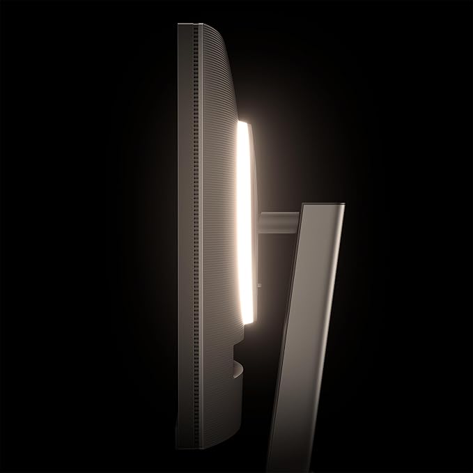 BenQ RD280UA 28.2” 4K Programming Monitor