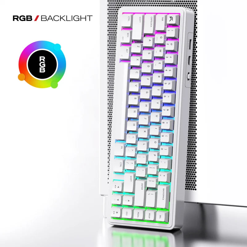 Cybeart Akula 65 - Compact 65% Wireless RGB Mechanical Keyboard (White)