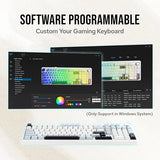 AULA F99 Pro 96% Tri-Mode Wireless Full Size Mechanical Gaming Keyboard With Knob | Ice Blue, Star Vector (Seiya) Switch (F99ProIUS)